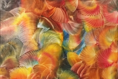 »Scallops«, Encaustic on canvas 50x70