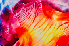 »Broken Colours«, Encaustic on paper, 21x30